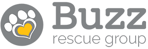 Buzz Rescue Group test1