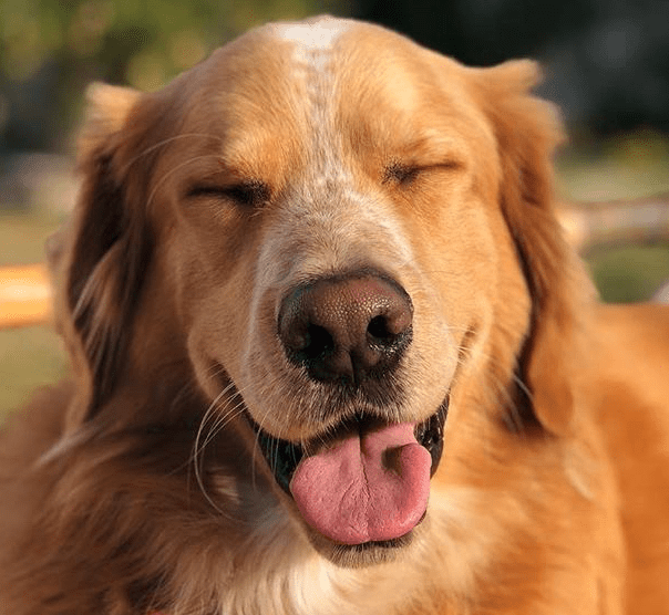 Screen-Shot-2021-02-10-at-5.15.09-PM